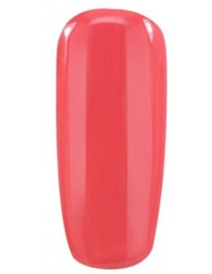 Gel Paint Jelly 5g