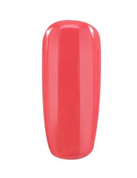 Gel Paint Jelly 5g