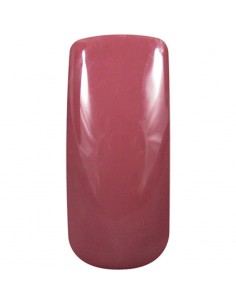Gelux Chocolate