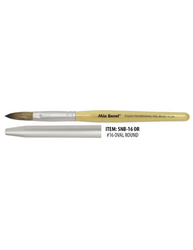 Professional Studio Brush