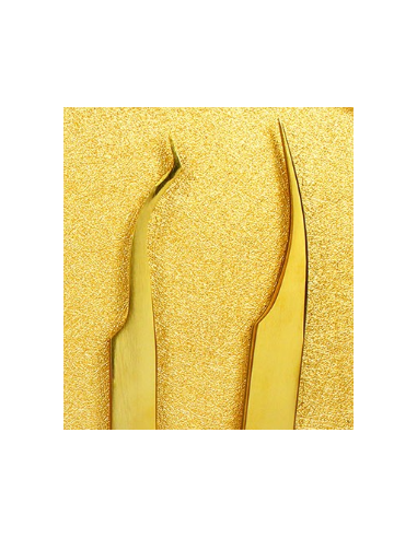 Trousse Deluxe pour Pinces à Cils