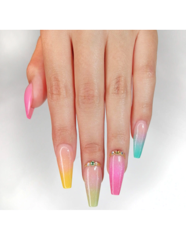 Colección Color Punch