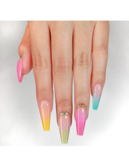 Collection Color Punch