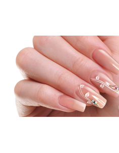 Acrylique Frosted Nude 2