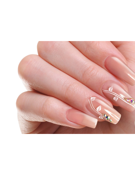 Frosted Nude Acrylic