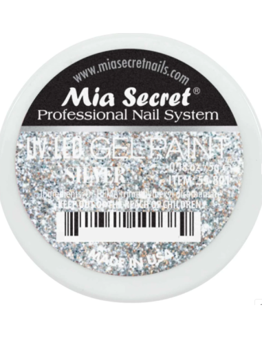 Gel Paint Silver 5g