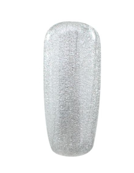 Gel Paint Silver 5g